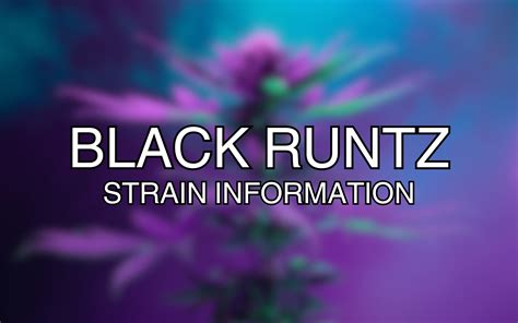 runtz strain facts.